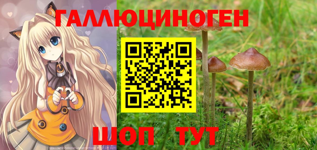 Наро-Фоминск  Галлюциногенные грибы мухоморы  Псилоцибиновые грибы MAGIC MUSHROOMS  Вход с VPN 