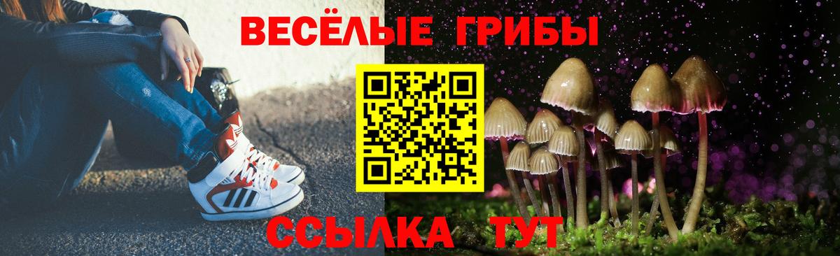 Галлюциногенные грибы мицелий Наро-Фоминск
